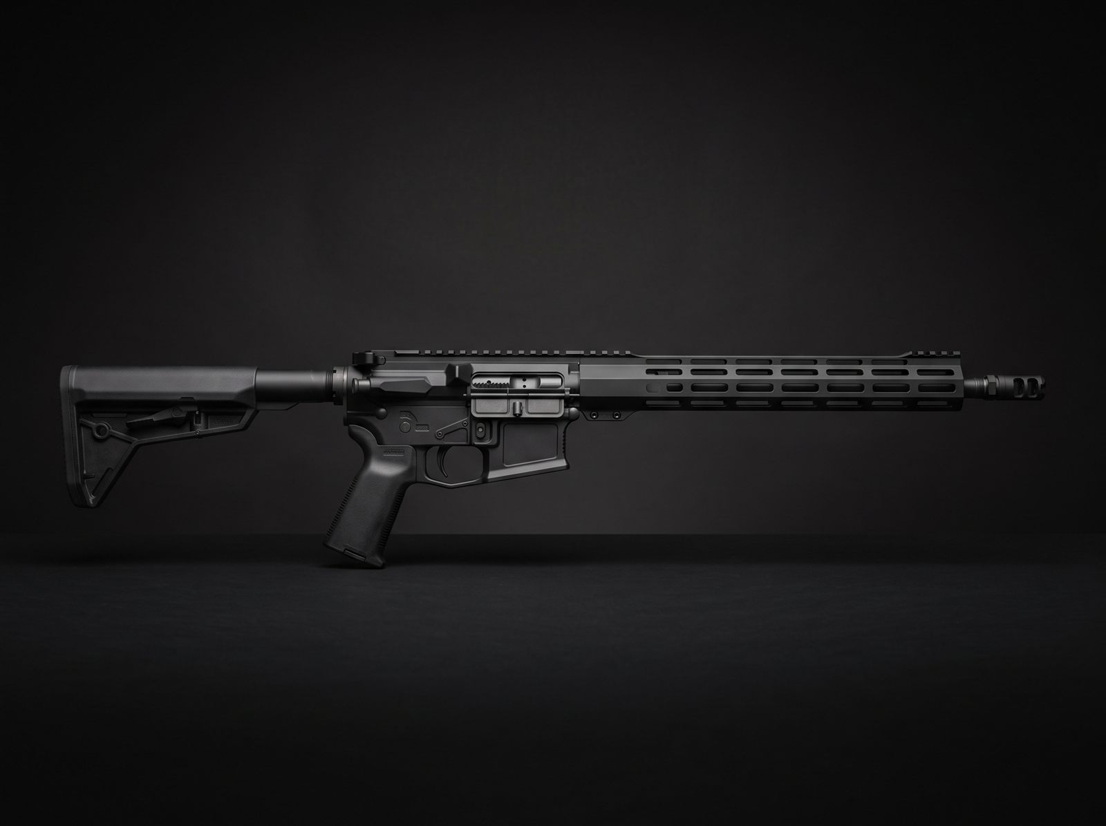 Custom AR-15 rifle, full body studio shot